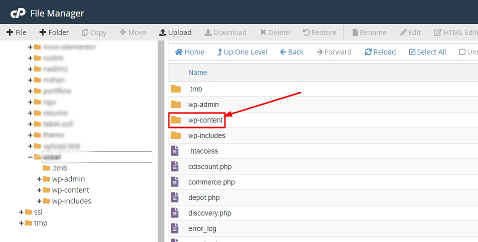 WP-Content Location in cPanel